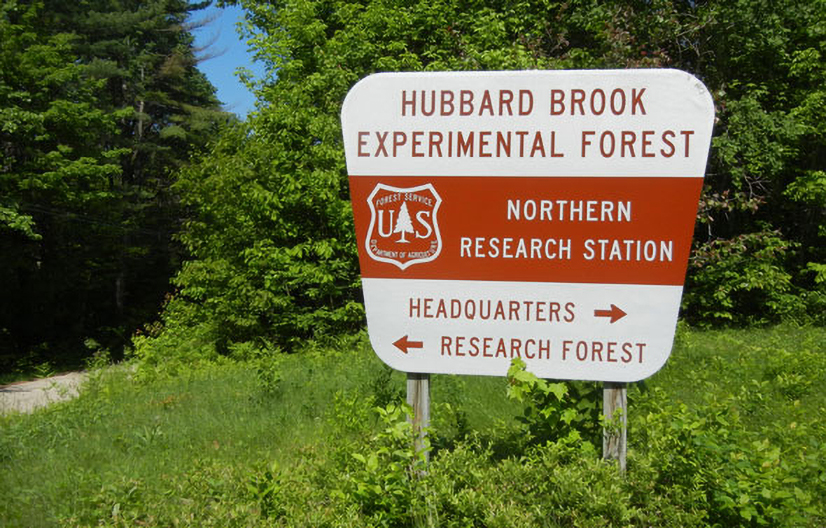 hubbard brook experimental forest