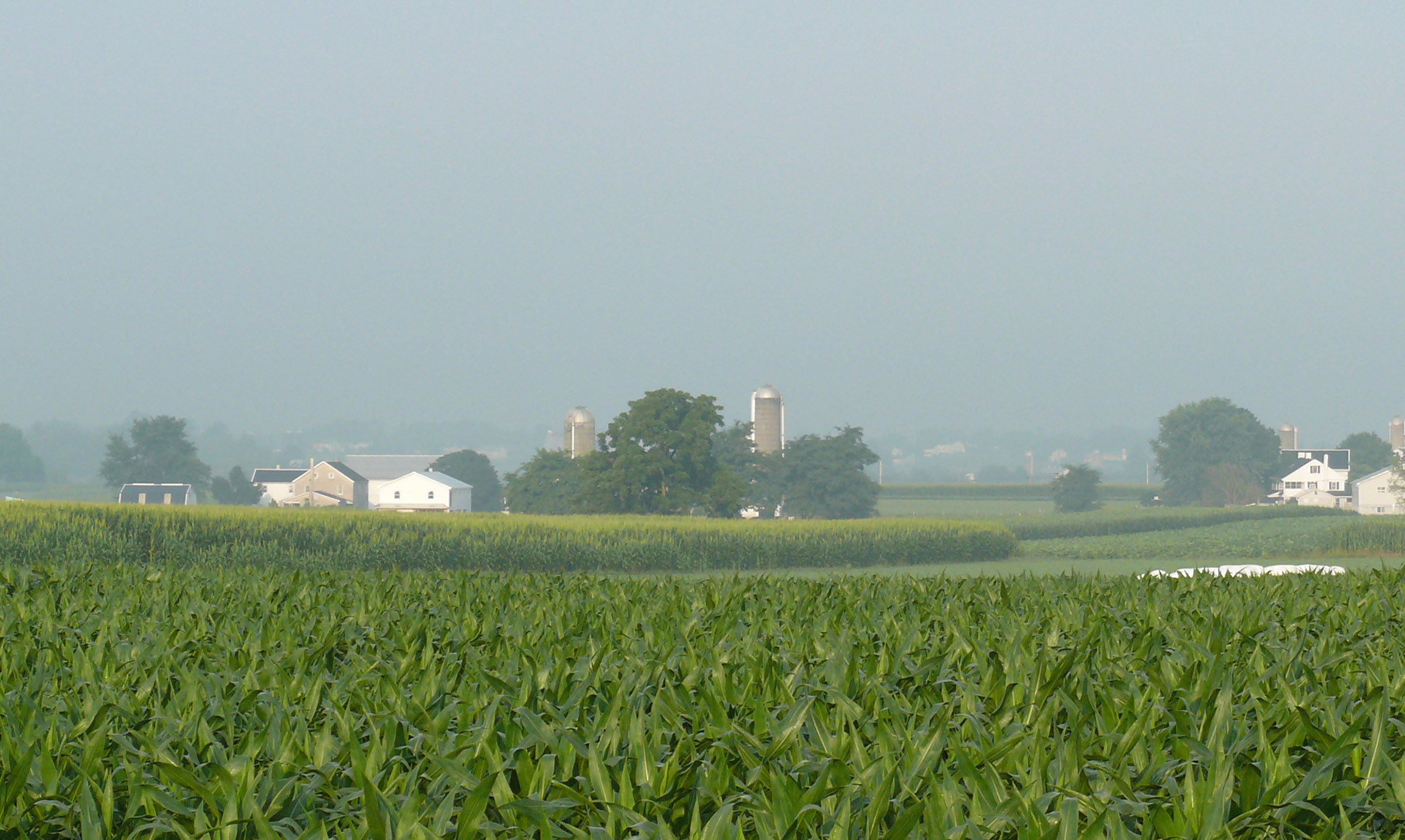 soil-carbon-sequestration