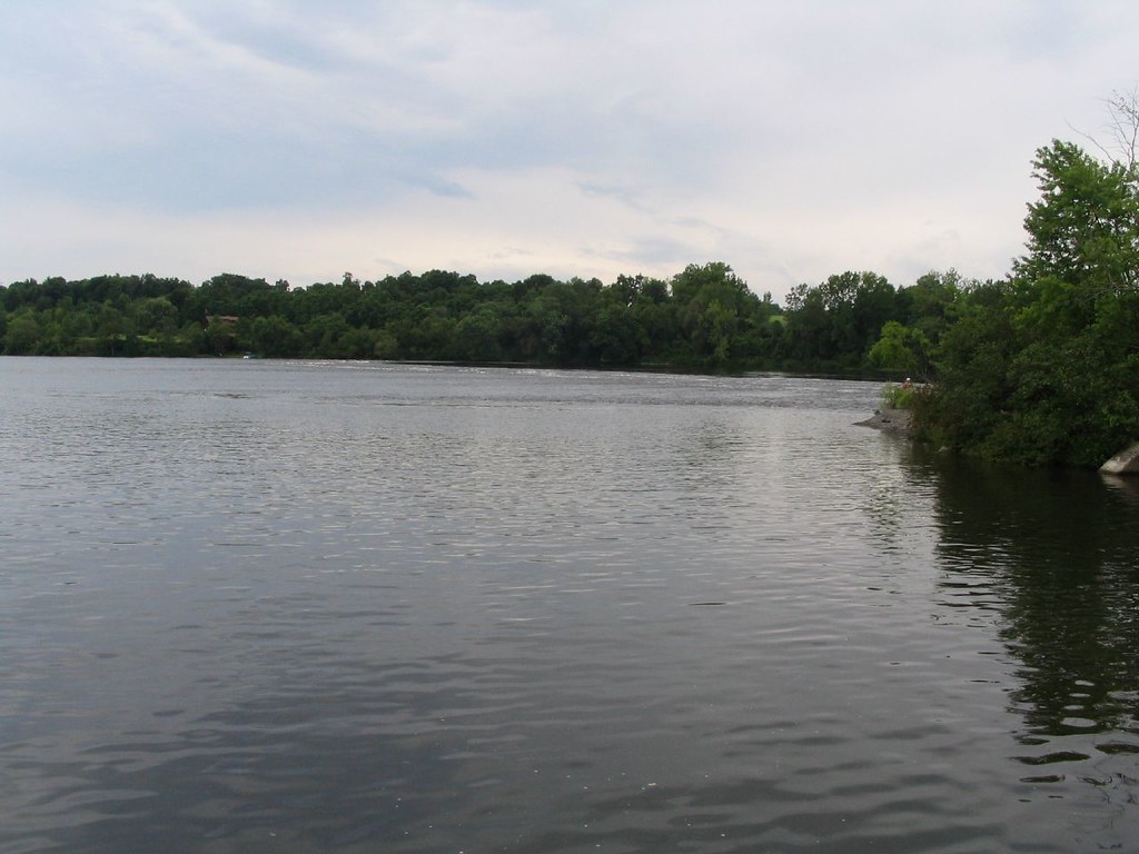 Study documents Hudson River ecosystem changes over 25 years