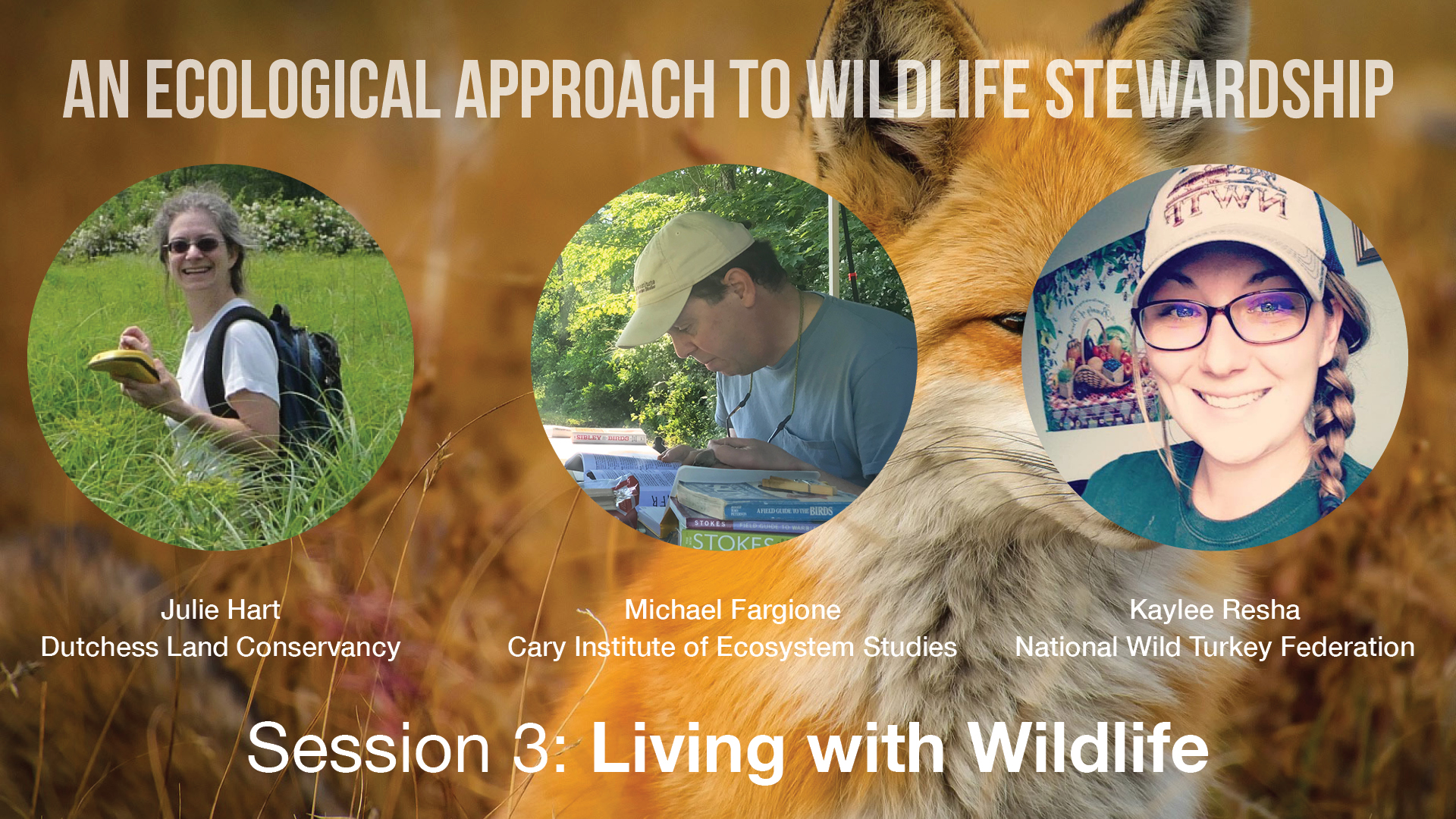 an-ecological-approach-to-wildlife-stewardship-living-with-wildlife