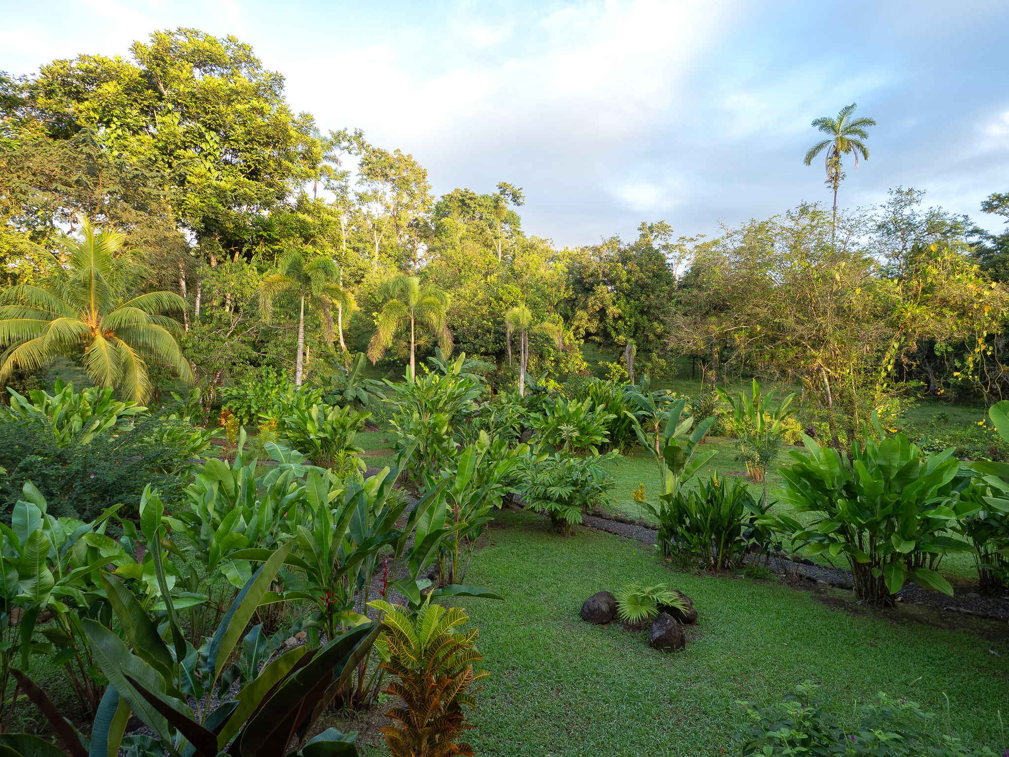 Forging a major center for ecology