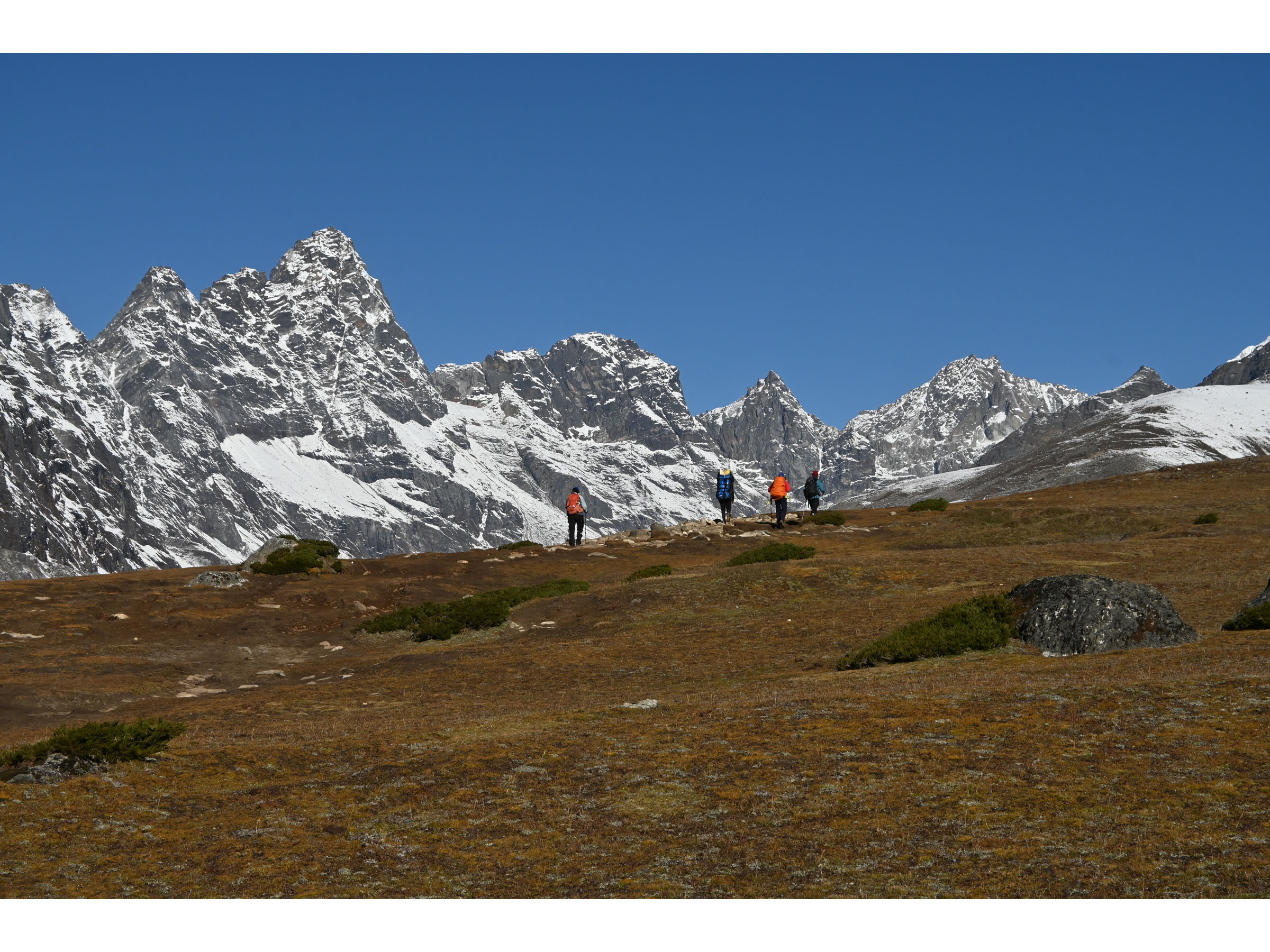 researchers walking through Himalayas