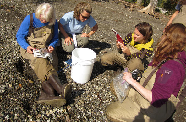 cary teacher workshop