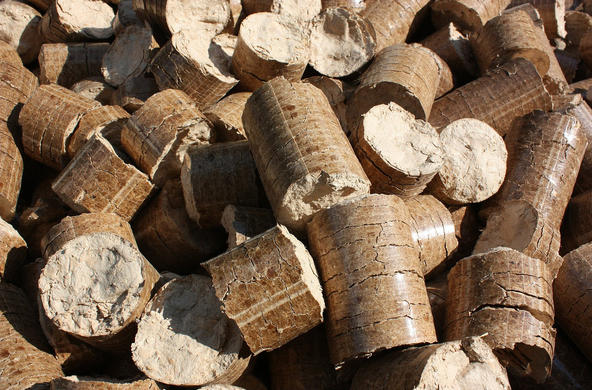 Biomass wood pellets