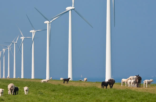 windfarm sustainable energy ©