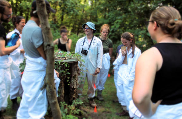 The tick project at the Cary institute