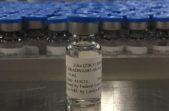 zika cc NIH