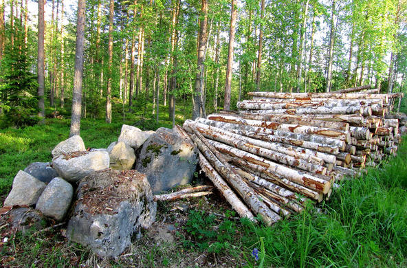 logs cc janne poikolainen