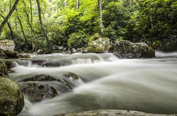 This stream is in Virginia