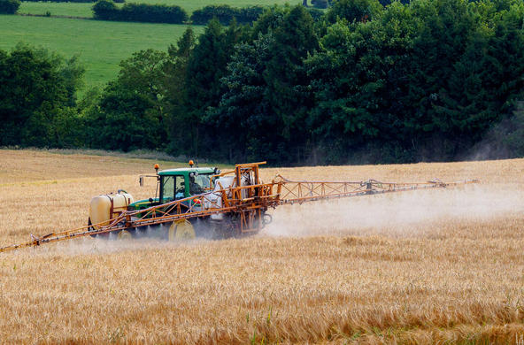 crop spraying cc richard corfield