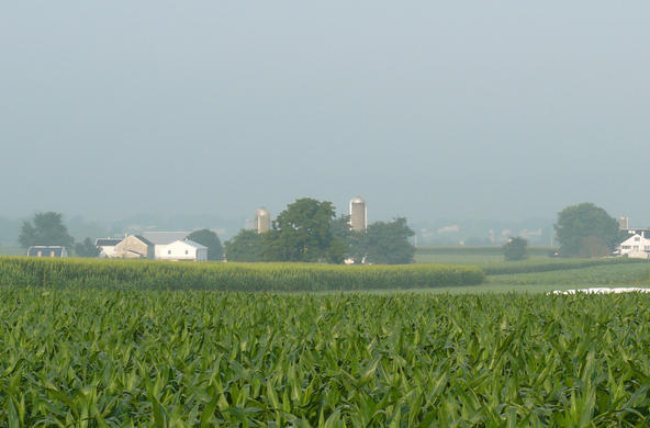 farm in pa cc eutophication hypoxia