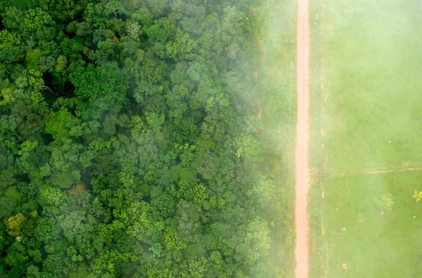 deforestation in Brazil cc CIFOR