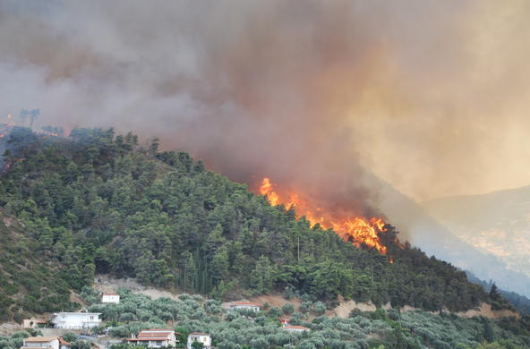 Forest Fire in Greece