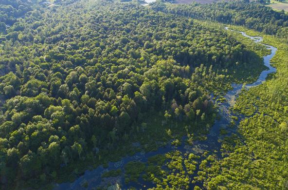 adirondack forest aerial