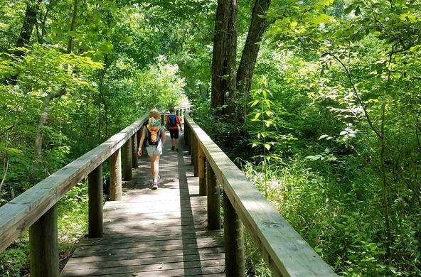 Hiking is popular in the virginia state parks
