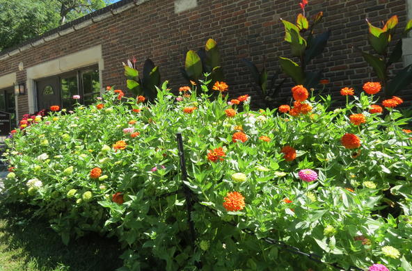 Many people add earthworms to their gardens