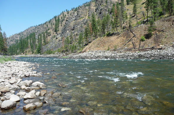 This river apparently has a lot of fish because it is called salmon river