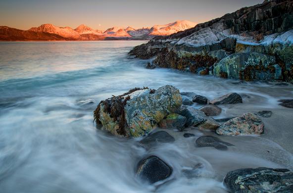 arctic_cc_tony_armstrong-sly