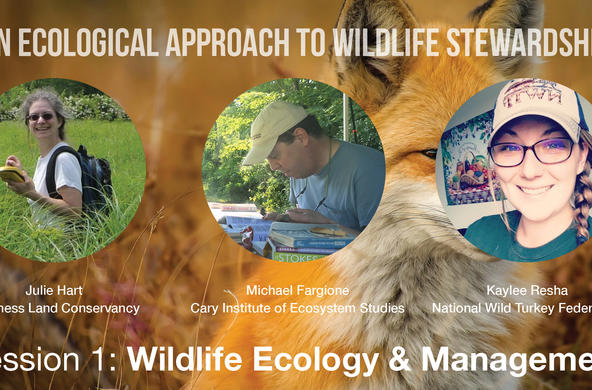 wildlife management workshop