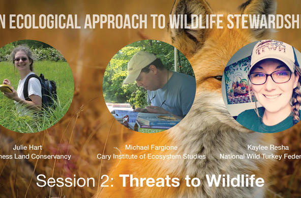 wildlife management workshop