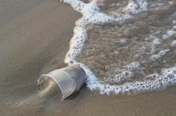 A plastic cup in the sand at ocean's edge