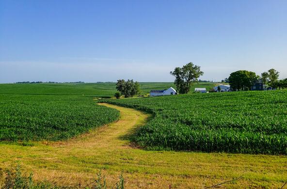 Iowa farm