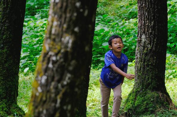 A boy exploring trees in a forest