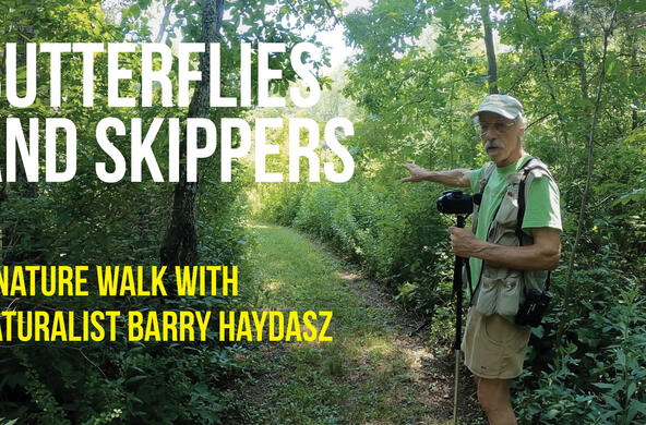 barry haydasz butterfly walk