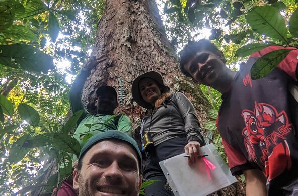 tropical forest research