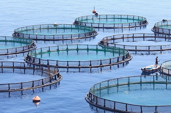 fish farm