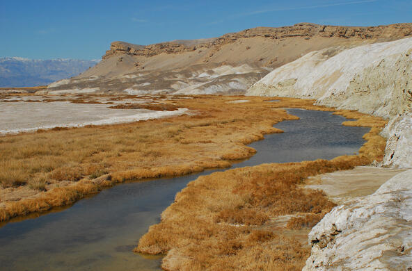 Salt Creek in Death Valley, California