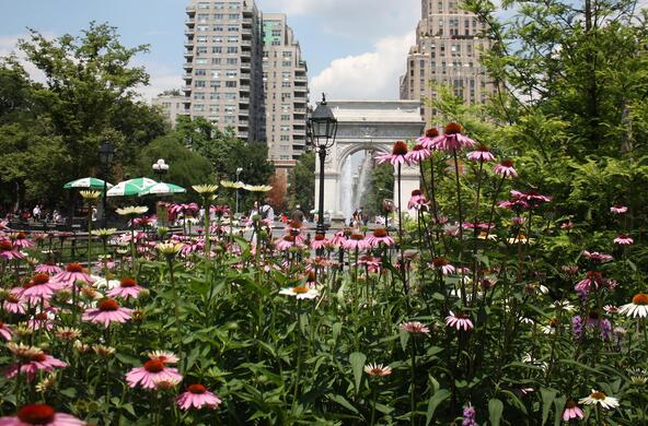 nyc green space