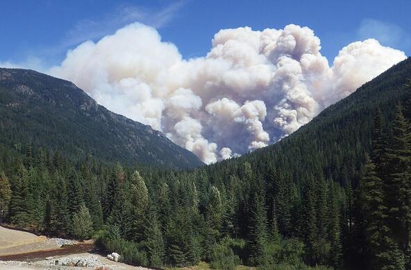 smoke plume from Wolverine fire