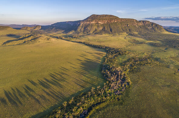 aerial view of wetlands in Brazil's Cerrado