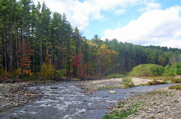 A river in the Neversink watershed, which contributes to New York City’s drinking water supply