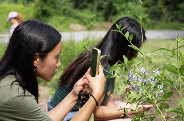 bioblitz