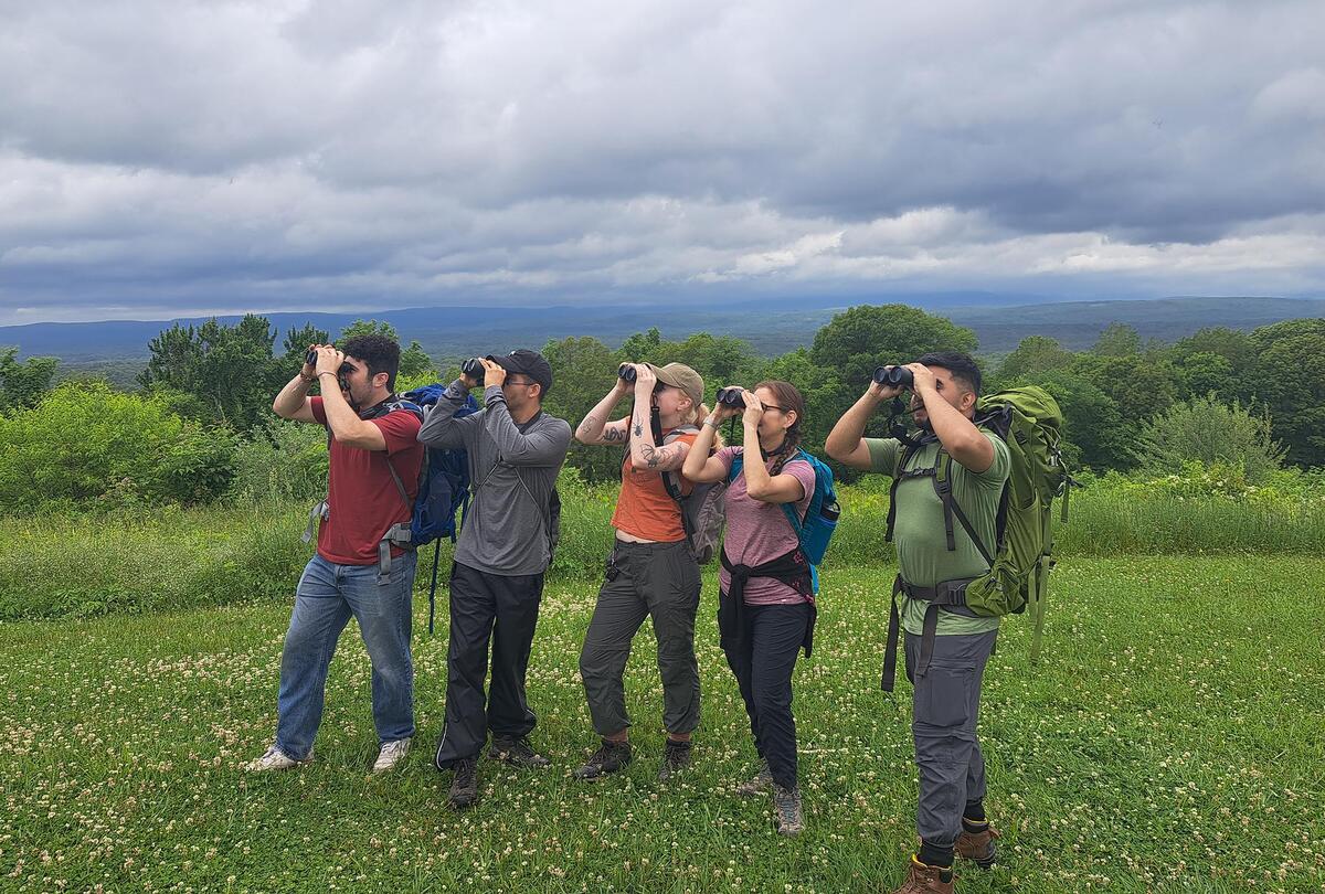 catskill montane birds fellowship