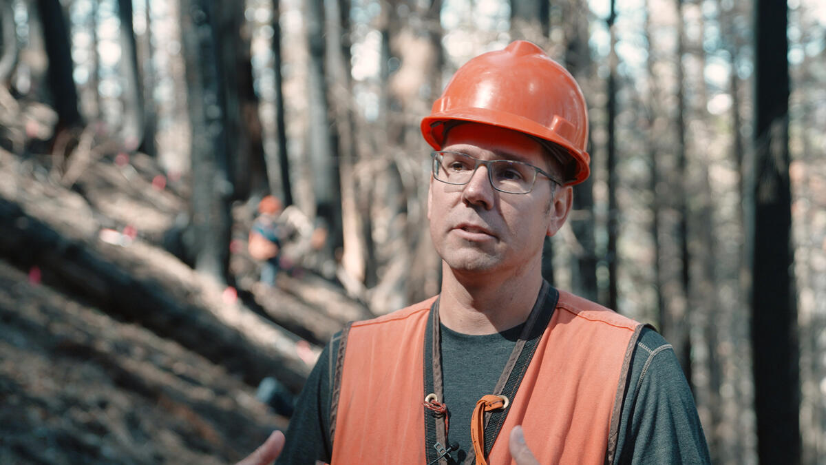brian harvey in a forest wearing a hard hat