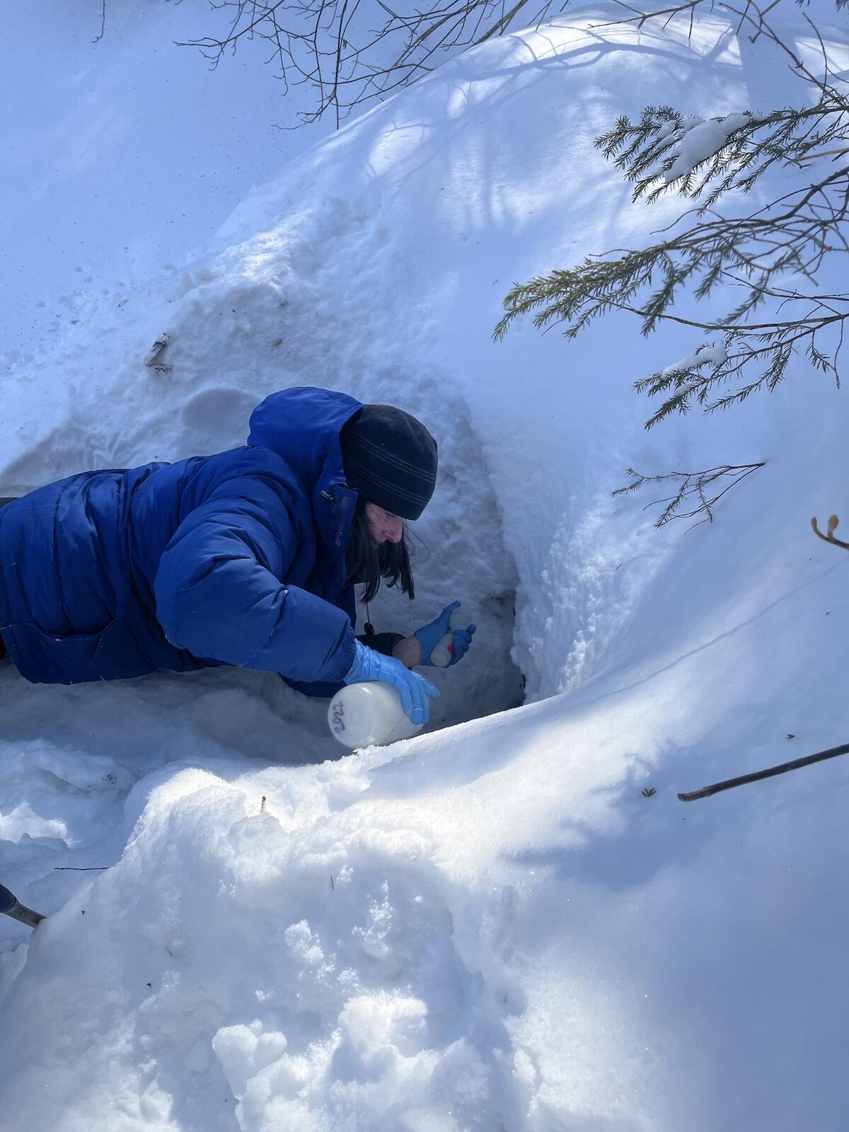 researcher laying on the ground in snow