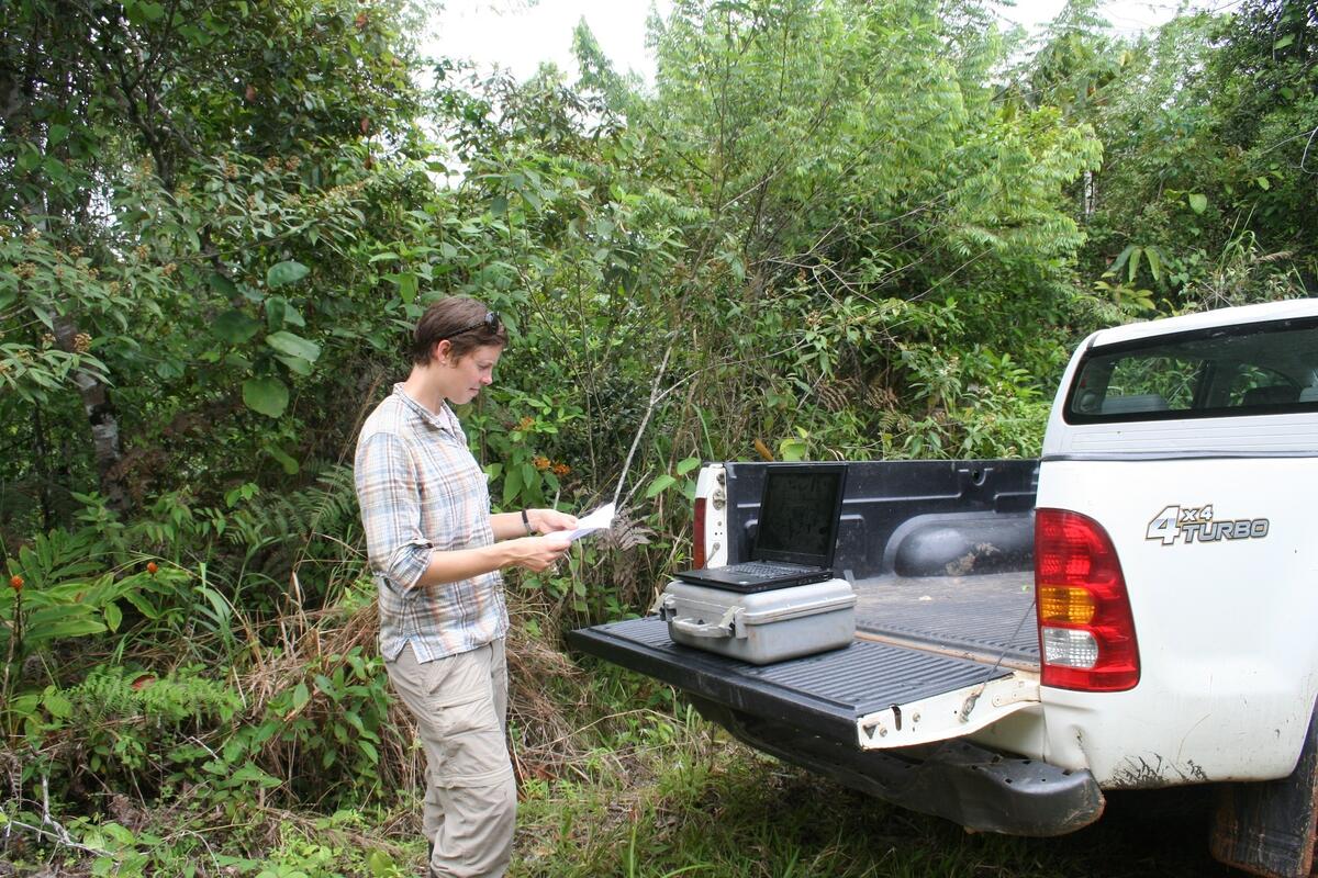 scientist standing near back of pickup truck